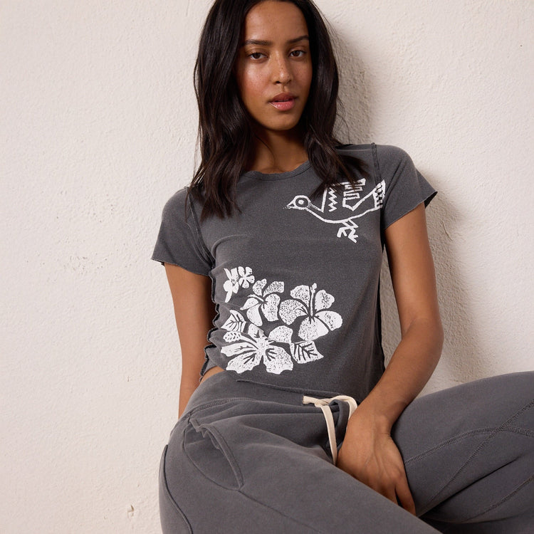 20 Years of NSF - Reworked Favorites