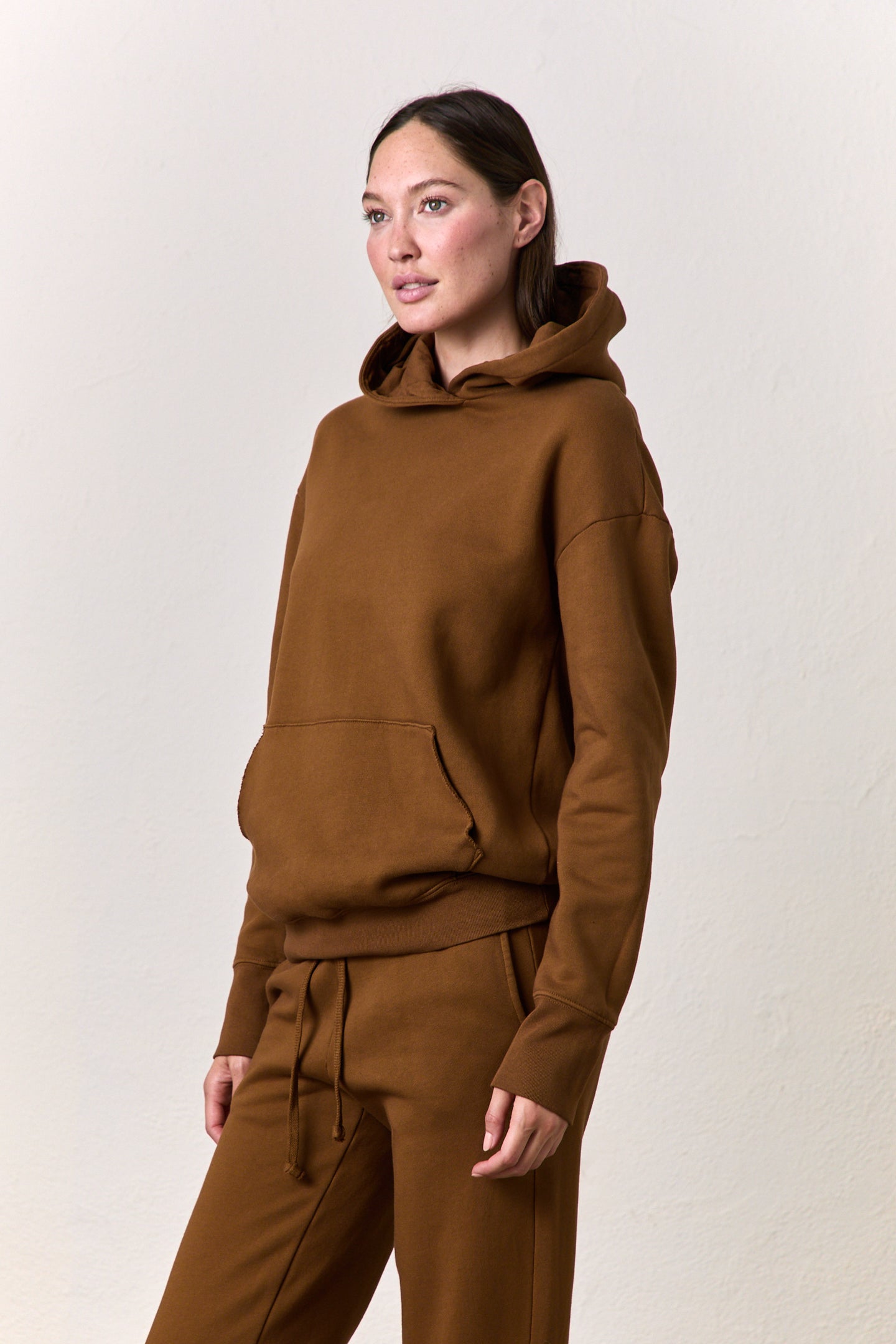 ELLIS RELAXED PULLOVER HOODY / ESPRESSO