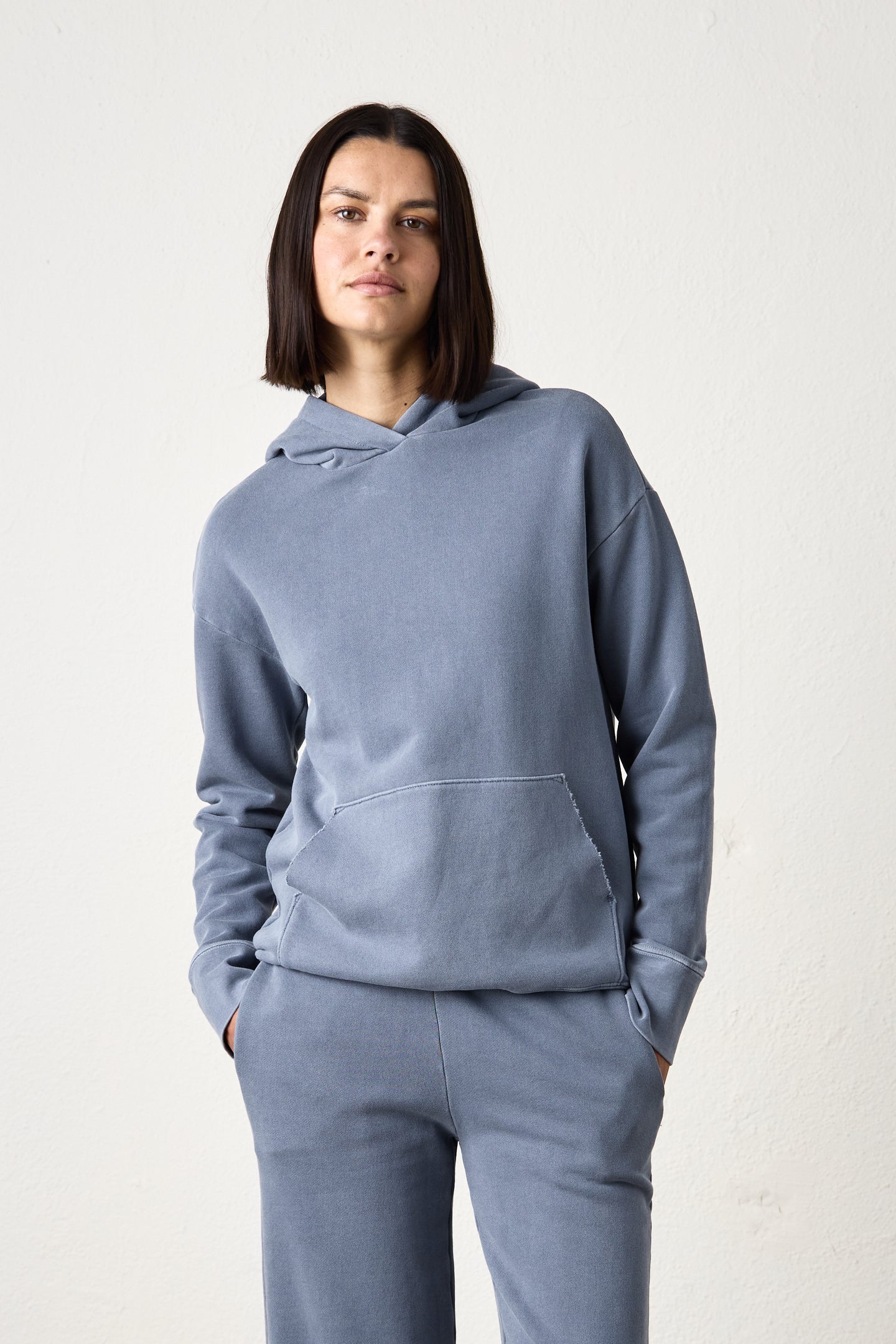 ELLIS FRENCH TERRY HOODY / HEATHER INDIGO